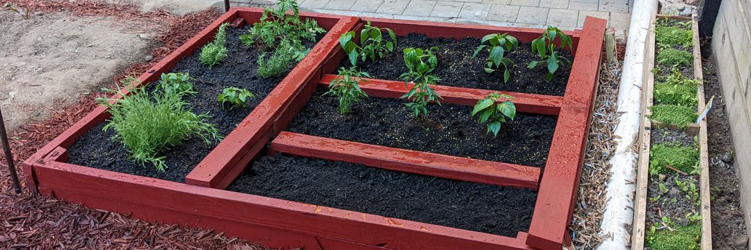 A newly planted red raised garden bed